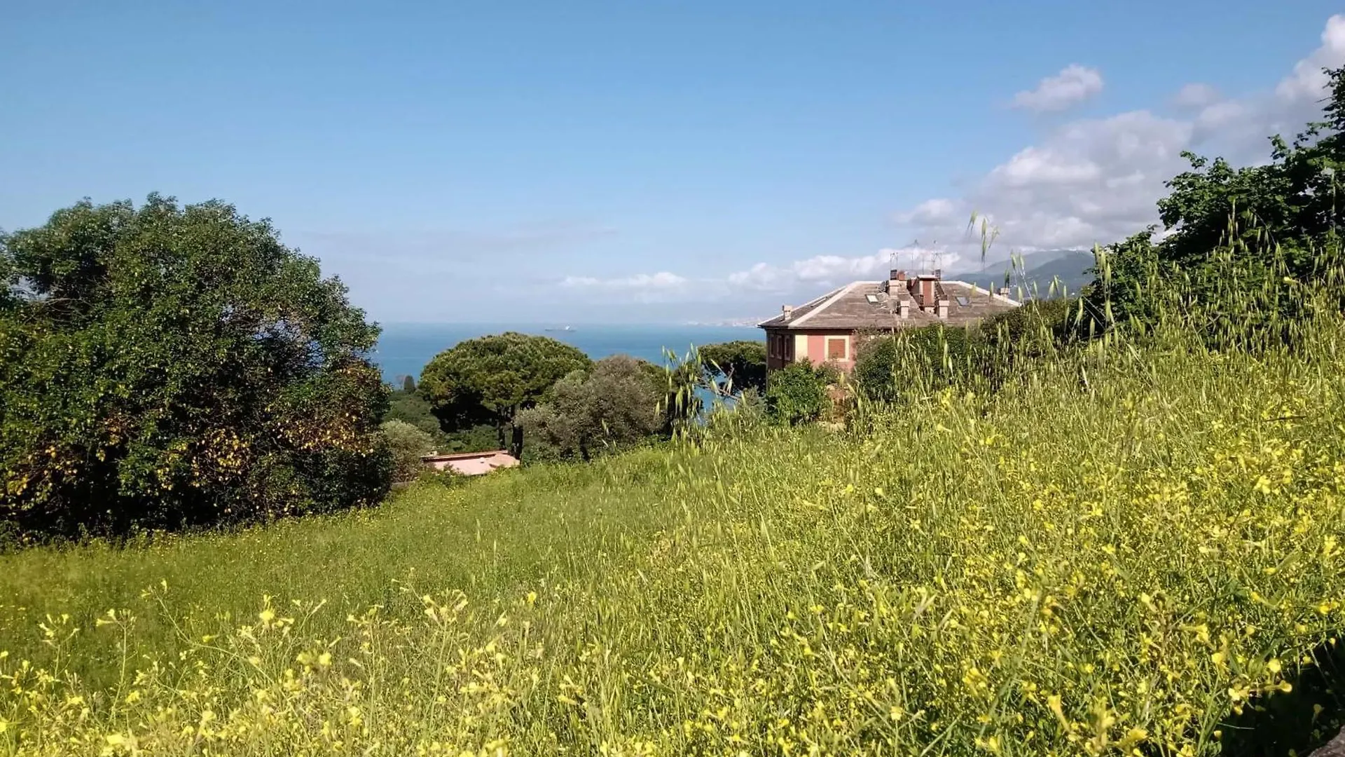 B&B Casa Ninni Camogli
